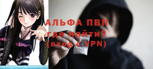 спиды Горняк
