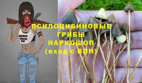 спиды Горняк