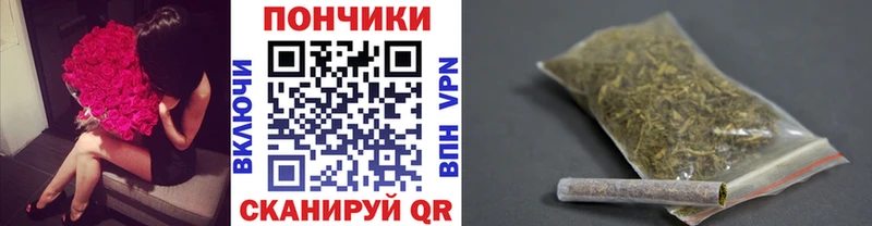 Каннабис планчик  как найти закладки  Заозёрск 